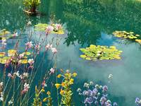 FESTIVAL DES JARDINS -CHAUMONT SUR LOIRE